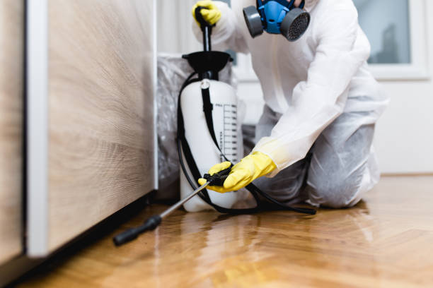 Best Cockroach Control Services  in Atlanta, IL
