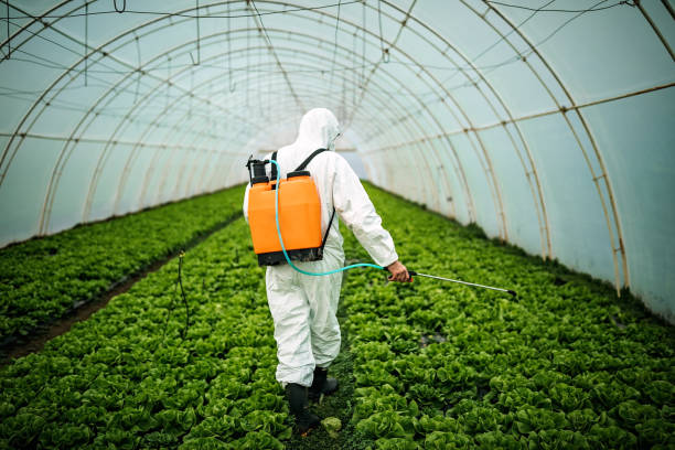 Best Pest Control Treatment  in Atlanta, IL