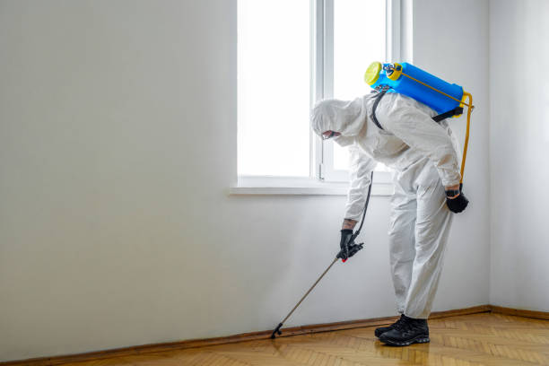 Best Pest Removal Services  in Atlanta, IL