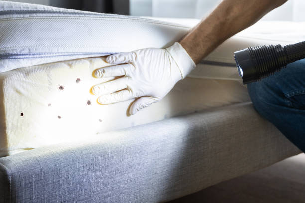 Pest Prevention Services in Atlanta, IL