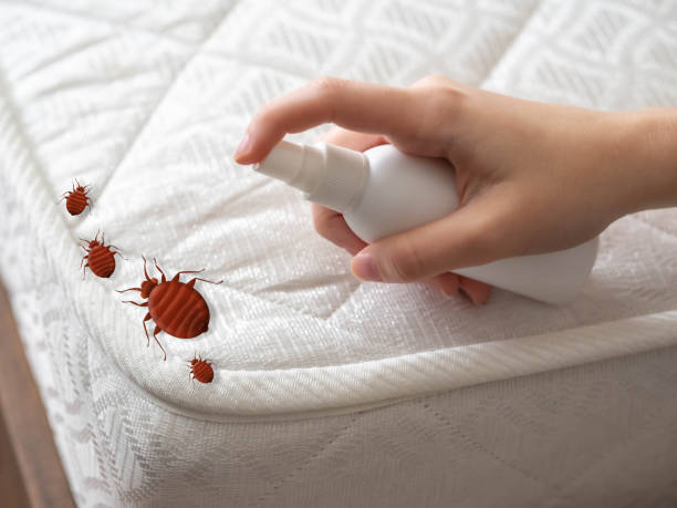 Best Residential Pest Control  in Atlanta, IL