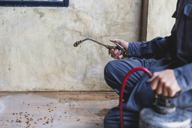 Best Pest Prevention Services  in Atlanta, IL